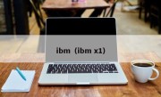 ibm（ibm x1）