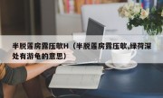 半脱莲房露压欹H（半脱莲房露压欹,绿荷深处有游龟的意思）