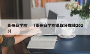 贵州商学院　（贵州商学院录取分数线2023）