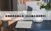 高情商表白藏头诗（2023最火表白数字）