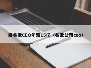 曝谷歌CEO年薪15亿（谷歌公司ceo）