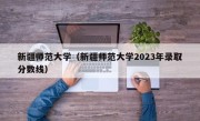 新疆师范大学（新疆师范大学2023年录取分数线）