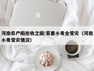 河南农户陷抢收之困:家里小麦全受灾（河南小麦受灾情况）