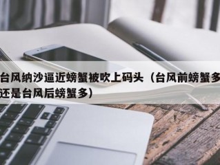 台风纳沙逼近螃蟹被吹上码头（台风前螃蟹多还是台风后螃蟹多）