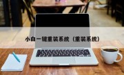 小白一键重装系统（重装系统）