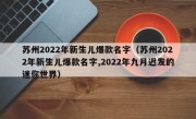 苏州2022年新生儿爆款名字（苏州2022年新生儿爆款名字,2022年九月迟发的迷你世界）