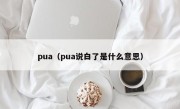 pua（pua说白了是什么意思）