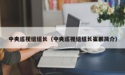 中央巡视组组长（中央巡视组组长崔鹏简介）