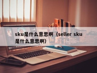 sku是什么意思啊（seller sku是什么意思啊）