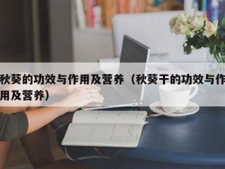 秋葵的功效与作用及营养（秋葵干的功效与作用及营养）