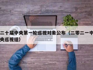 二十届中央第一轮巡视对象公布（二零二一中央巡视组）