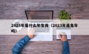 2023年是什么年生肖（2023年是兔年吗）