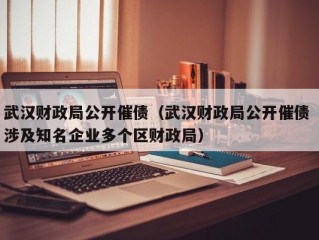 武汉财政局公开催债（武汉财政局公开催债 涉及知名企业多个区财政局）