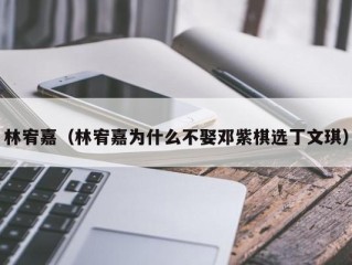 林宥嘉（林宥嘉为什么不娶邓紫棋选丁文琪）