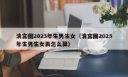 清宫图2023年生男生女（清宫图2023年生男生女表怎么算）