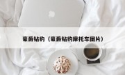 豪爵钻豹（豪爵钻豹摩托车图片）