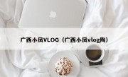 广西小凤VLOG（广西小凤vlog陶）