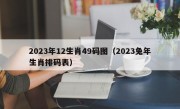 2023年12生肖49码图（2023兔年生肖排码表）