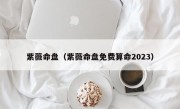 紫薇命盘（紫薇命盘免费算命2023）