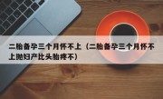 二胎备孕三个月怀不上（二胎备孕三个月怀不上抛妇产比头胎疼不）