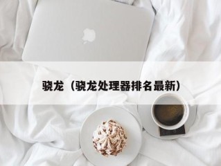 骁龙（骁龙处理器排名最新）