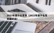 2023年属什么生肖（2023年属什么生肖最好运）