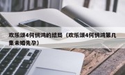 欢乐颂4何悯鸿的结局（欢乐颂4何悯鸿第几集未婚先孕）