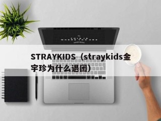 STRAYKIDS（straykids金宇珍为什么退团）