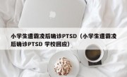 小学生遭霸凌后确诊PTSD（小学生遭霸凌后确诊PTSD 学校回应）