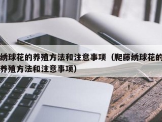 绣球花的养殖方法和注意事项（爬藤绣球花的养殖方法和注意事项）