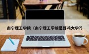 南宁理工学院（南宁理工学院是野鸡大学?）