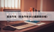 高合汽车（高合汽车2023最新款价格）