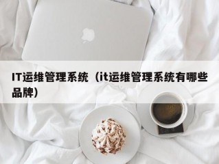 IT运维管理系统（it运维管理系统有哪些品牌）