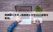 陕西理工大学（陕西理工大学2023录取分数线）