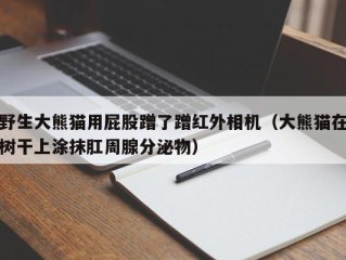 野生大熊猫用屁股蹭了蹭红外相机（大熊猫在树干上涂抹肛周腺分泌物）