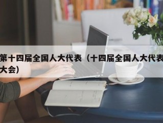 第十四届全国人大代表（十四届全国人大代表大会）