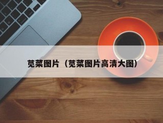 苋菜图片（苋菜图片高清大图）