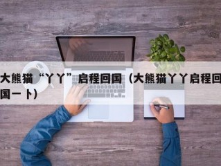 大熊猫“丫丫”启程回国（大熊猫丫丫启程回国一卜）