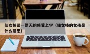 仙女棒带一整天的感受上学（仙女棒的女孩是什么意思）