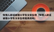 知情人辟谣被撞小学生父亲坠楼（知情人辟谣被撞小学生父亲坠楼是真的吗）