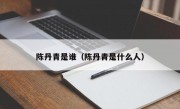 陈丹青是谁（陈丹青是什么人）