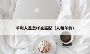 羊和人是怎样交匹配（人和羊的）