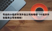 专业的小程序开发外包公司有哪些（小程序外包服务公司有哪些）