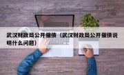 武汉财政局公开催债（武汉财政局公开催债说明什么问题）