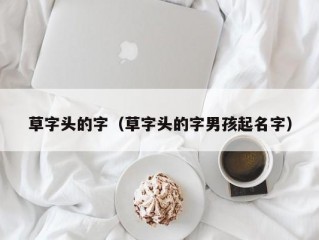 草字头的字（草字头的字男孩起名字）