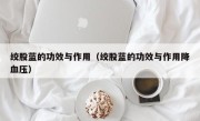 绞股蓝的功效与作用（绞股蓝的功效与作用降血压）