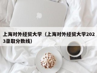 上海对外经贸大学（上海对外经贸大学2023录取分数线）