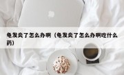 龟发炎了怎么办啊（龟发炎了怎么办啊吃什么药）